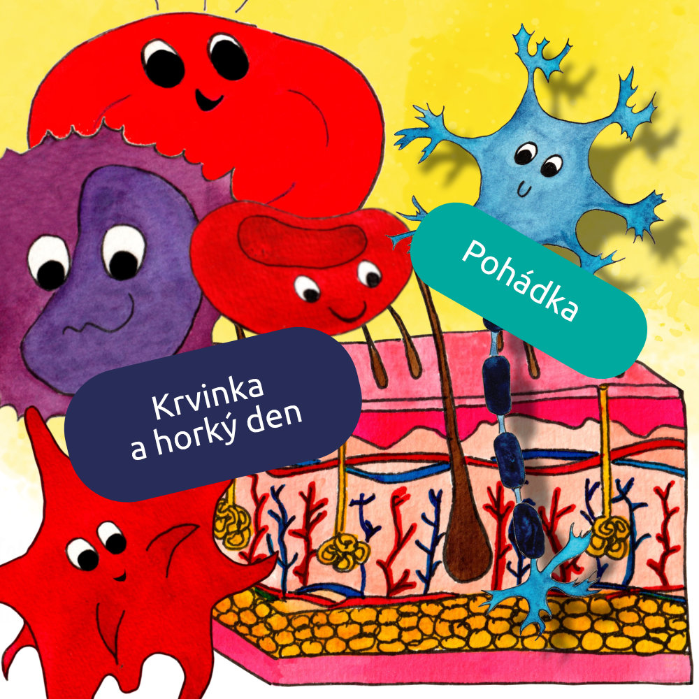 Krvinka a horký den